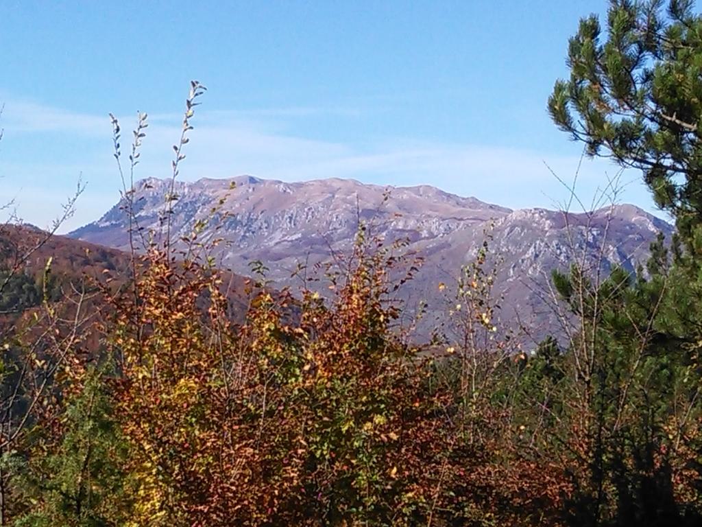 Dulovine