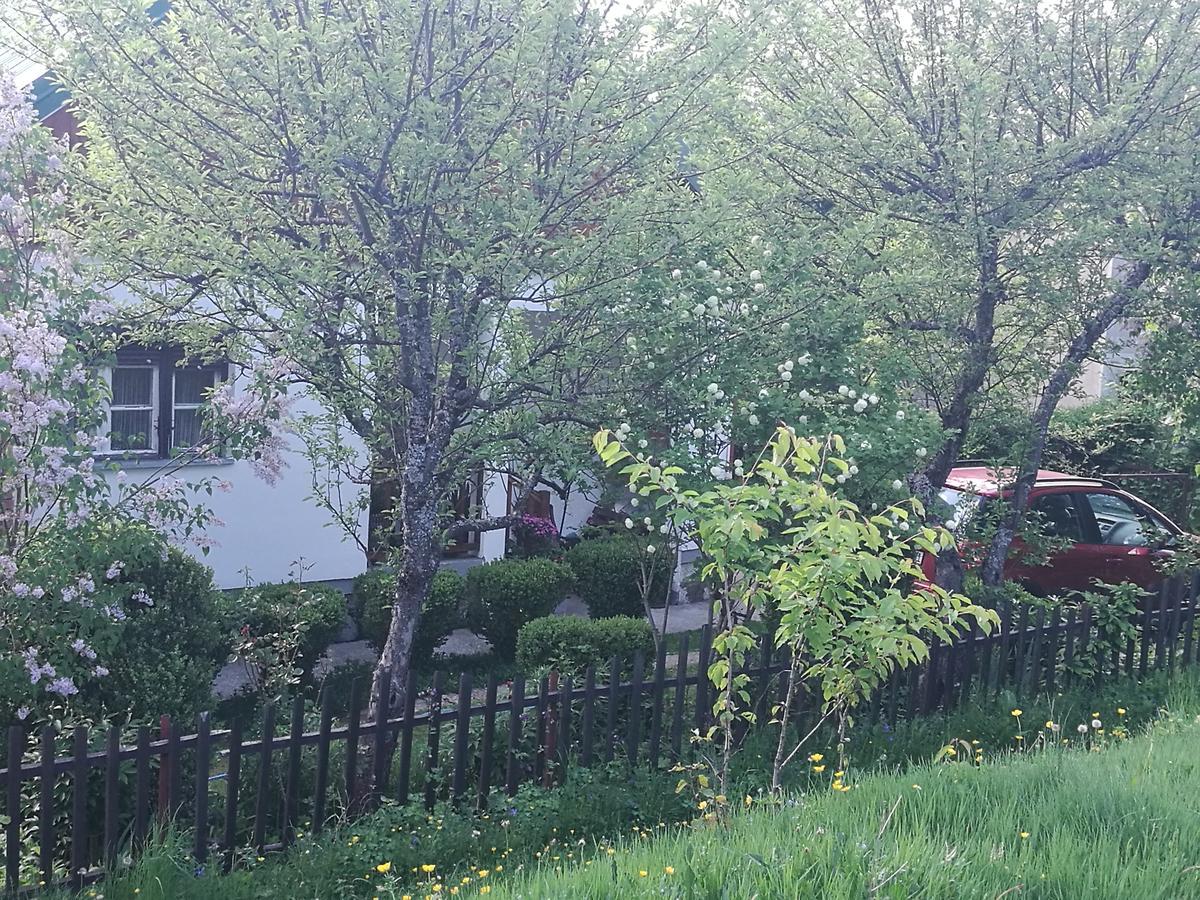 Appartement Dulovine
